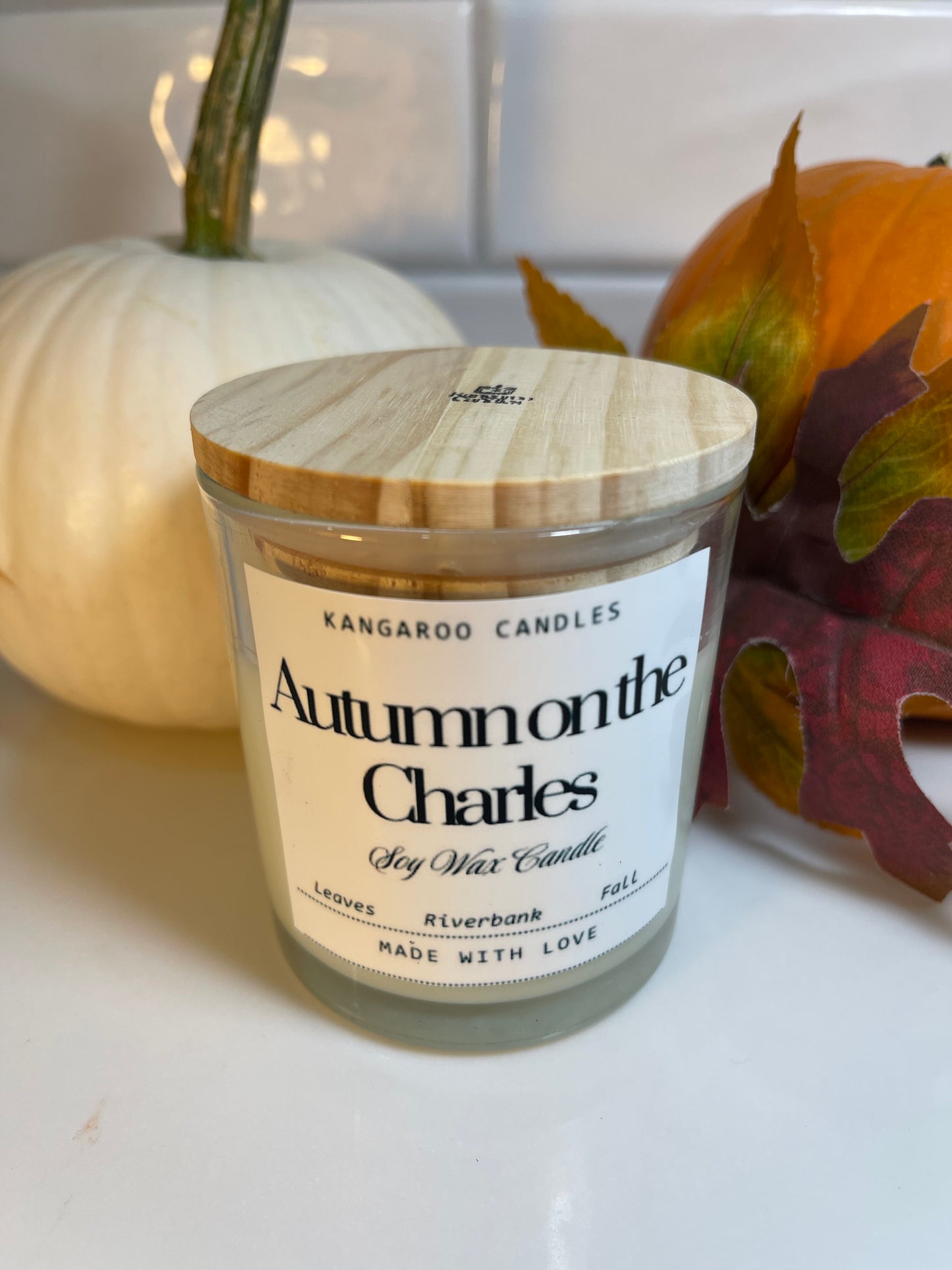 Autumn on the Charles