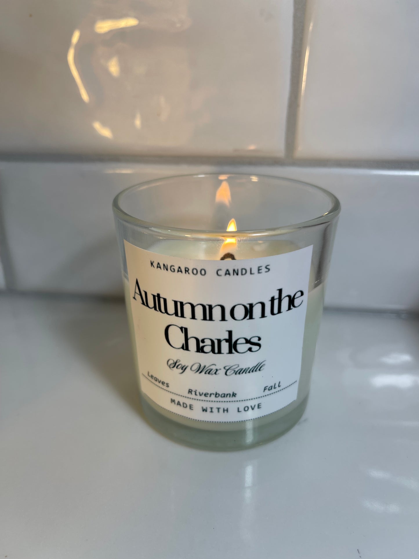 Autumn on the Charles