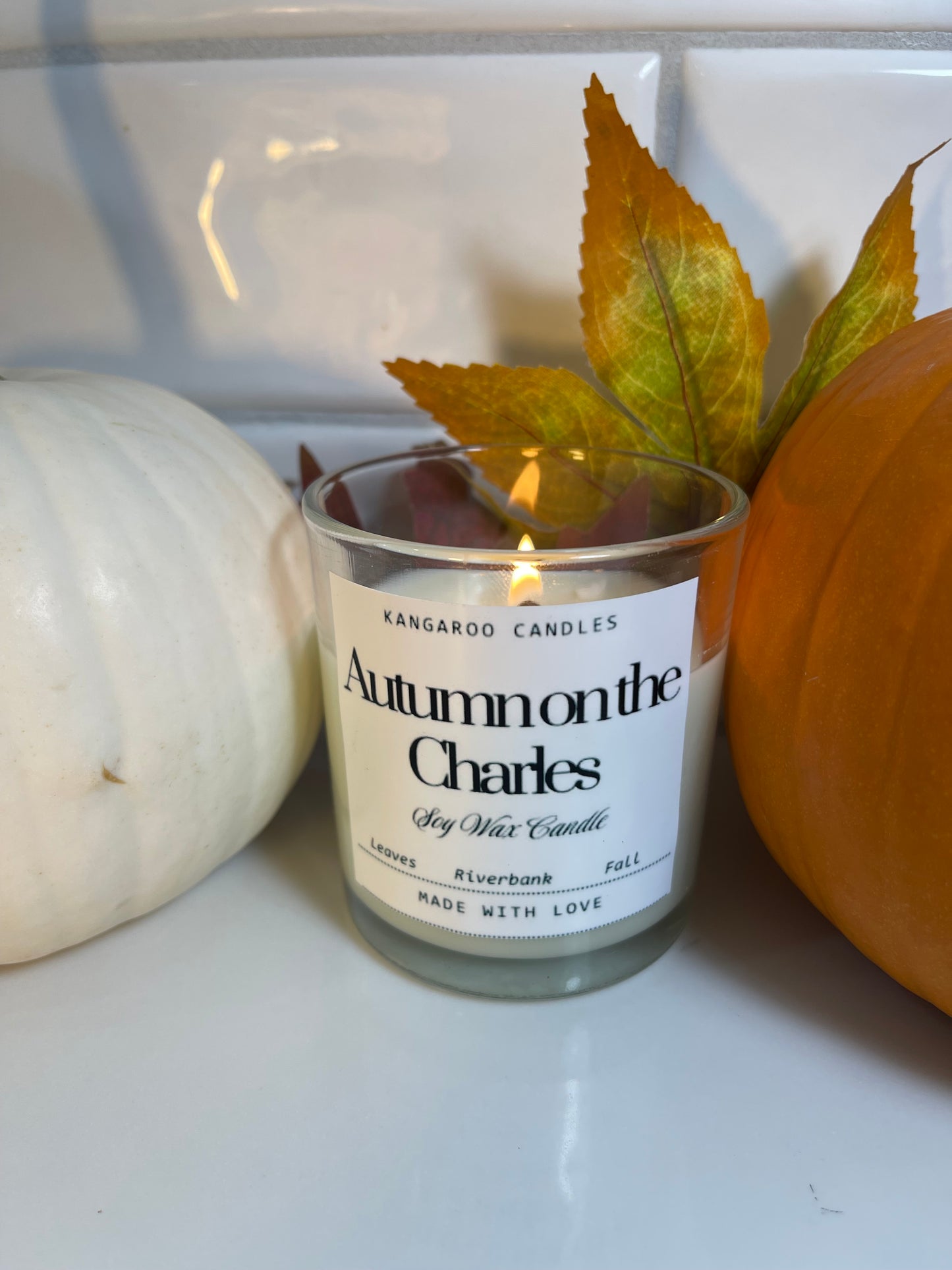 Autumn on the Charles